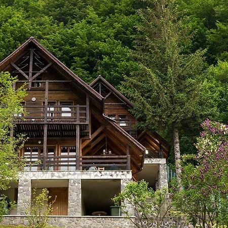 Florile Bucegilor Villa Sinaia Buitenkant foto
