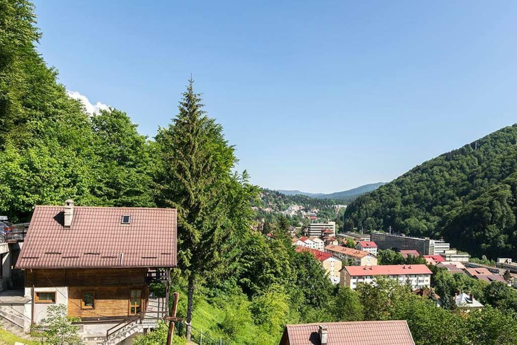 Florile Bucegilor Villa Sinaia Buitenkant foto