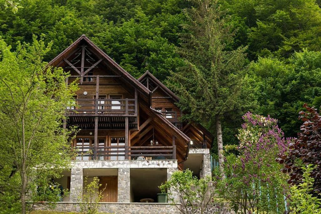Florile Bucegilor Villa Sinaia Buitenkant foto