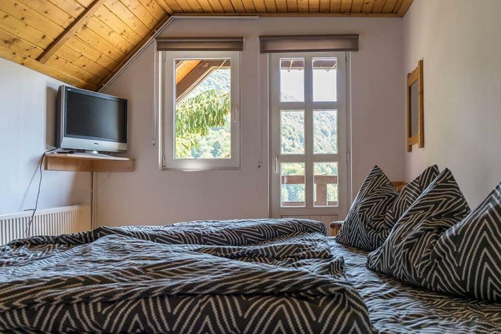 Florile Bucegilor Villa Sinaia Buitenkant foto