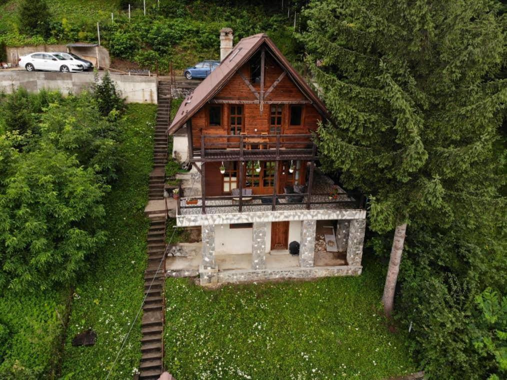 Florile Bucegilor Villa Sinaia Buitenkant foto